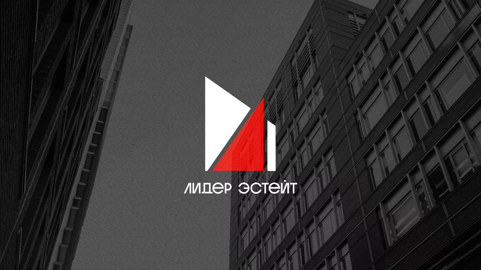 Сделали логотип для агентства недвижимости «Лидер Эстейт» в Шлиссельбурге